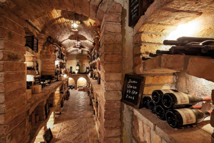 Wine Cellar